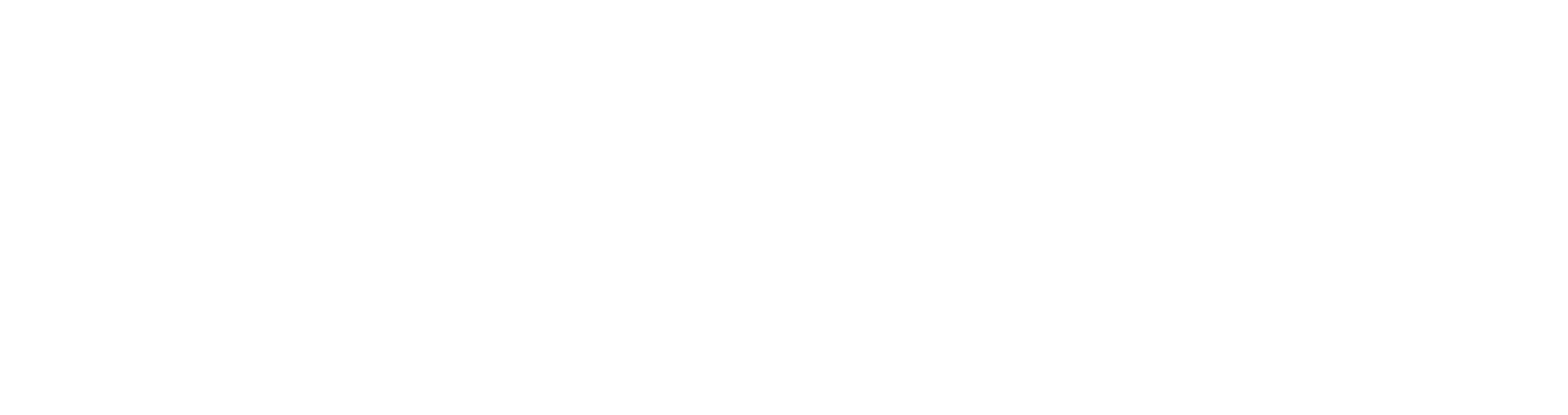 WoPa Logo